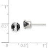 Lex & Lu Sterling Silver Blk & White Colored CZ 6mm Round Earrings LAL111642 - 4 - Lex & Lu