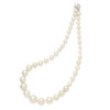 Lex & Lu Sterling Silver Majestik 8-16mm Graduated White Shell Bead Necklace 18'' - 2 - Lex & Lu