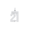 Lex & Lu Sterling Silver Small Polished Number 21 - Lex & Lu