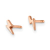 Lex & Lu Chisel Stainless Steel Rose Plated Lightning Bolt Post Earrings - 3 - Lex & Lu