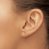 Lex & Lu Chisel Stainless Steel Rose Plated Lightning Bolt Post Earrings - 4 - Lex & Lu