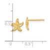 Lex & Lu 14k Yellow Gold Satin D/C Starfish Post Earrings - 4 - Lex & Lu