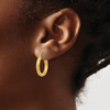 Lex & Lu 14k Yellow Gold Polished, Satin & D/C Hoop Earrings LAL118614 - 3 - Lex & Lu