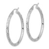 Lex & Lu 14k White Gold Polished, Satin & D/C Hoop Earrings LAL118623 - 2 - Lex & Lu