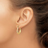 Lex & Lu 14k Polished White & Rose Gold Rhodium Satin & D/C Hoop Earrings - 3 - Lex & Lu