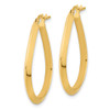Lex & Lu 14k Yellow Gold Polished Hoop Earrings LAL119013 - 2 - Lex & Lu