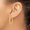 Lex & Lu 14k Yellow Gold Polished & D/C Twist Hoop Earrings LAL119019 - 3 - Lex & Lu