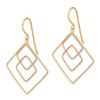 Lex & Lu 14k Yellow & Rose Gold D/C Graduated Square Shepherd Hook Earrings - 2 - Lex & Lu