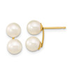 Lex & Lu 14k Yellow Gold 6-7mm White Round FWC Double Pearl Post Earrings - Lex & Lu