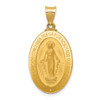 Lex & Lu 14k Yellow Gold & Satin Hollow Spanish Miraculous Medal Pendant - Lex & Lu