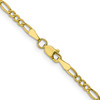 Lex & Lu 10k Yellow Gold 2.5mm Figaro Chain Anklet, Bracelet or Necklace- 4 - Lex & Lu