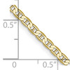 Lex & Lu 10k Yellow Gold 3mm Flat Anchor Chain Anklet, Bracelet or Necklace- 5 - Lex & Lu