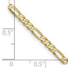 Lex & Lu 10k Yellow Gold 2.75mm Flat Figaro Chain Bracelet or Necklace- 5 - Lex & Lu