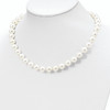 Lex & Lu Sterling Silver Majestik 10-11mm Shell Bead Necklace- 4 - Lex & Lu