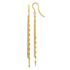 Lex & Lu 14k Yellow Gold Polished Tassle Dangle Shephard Hook Earrings - Lex & Lu