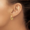 Lex & Lu 10k Yellow Gold 3x15 D/C Round Omega Back Hoop Earrings LAL150501 - 3 - Lex & Lu