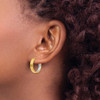 Lex & Lu 14k Yellow Gold w/Rhodium & D/C Hoop Earrings LAL150731 - 3 - Lex & Lu