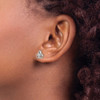 Lex & Lu Chisel Stainless Steel w/Preciosa Crystal Trinity Knot Post Earrings - 3 - Lex & Lu