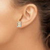 Lex & Lu Chisel Stainless Steel w/18k gold accent .03ct Diamond Square Earrings - 3 - Lex & Lu