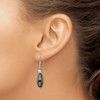 Lex & Lu Sterling Silver Crystal and Hematite Shepherd Hook Earrings - 3 - Lex & Lu