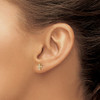 Lex & Lu 14k Yellow w/Rhodium Gold & Top Surface Rhodium-plated Diamond Cross Post Earrings - 3 - Lex & Lu