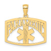 Lex & Lu 14k Yellow Gold Paramedic Charm - Lex & Lu
