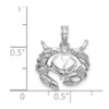 Lex & Lu 14k White Gold 2D Stone Crab Facing Down Charm - 4 - Lex & Lu