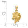 Lex & Lu 14k Yellow Gold Brushed and D/C Lion Head Pendant - 2 - Lex & Lu