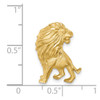 Lex & Lu 14k Yellow Gold Brushed and D/C Lion Chain Slide - 4 - Lex & Lu