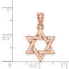 Lex & Lu 14k Rose Gold Polished Star of David Pendant - 4 - Lex & Lu