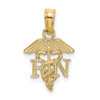 Lex & Lu 14k Yellow Gold RN Caduceus Charm - Lex & Lu