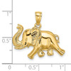 Lex & Lu 14k Yellow Gold 2D Elephant Running w/Raised Trunk Charm - 3 - Lex & Lu