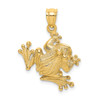 Lex & Lu 14k Yellow Gold 2D Frog Sitting Charm - Lex & Lu