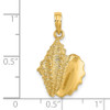 Lex & Lu 14k Yellow Gold 2D Conch Shell Charm LALK7397 - 3 - Lex & Lu