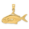 Lex & Lu 14k Yellow Gold 3D Polished Pompano Fish Charm - Lex & Lu