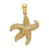 Lex & Lu 14k Yellow Gold 2D Starfish w/Small Holes Charm - Lex & Lu