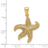 Lex & Lu 14k Yellow Gold 2D Starfish w/Small Holes Charm - 3 - Lex & Lu