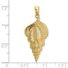Lex & Lu 14k Yellow Gold 2D Common Wentletrap Shell Charm - 3 - Lex & Lu