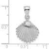 Lex & Lu 14k White Gold Textured Scallop Shell Charm - 3 - Lex & Lu