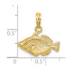 Lex & Lu 14k Yellow Gold 2D and Engraved Striped Fish Charm LALK7703 - 3 - Lex & Lu