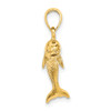 Lex & Lu 14k Yellow Gold 3D Polished and Textured Dolphin Jumping Charm - 2 - Lex & Lu