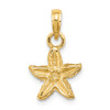 Lex & Lu 14k Yellow Gold 2D Starfish Charm LALK7861 - 4 - Lex & Lu