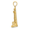 Lex & Lu 14k Yellow Gold 2D ASSATEAGUE ISLAND Lighthouse, VA Charm - 2 - Lex & Lu