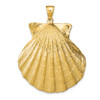 Lex & Lu 14k Yellow Gold Scallop Shell Pendant - Lex & Lu