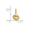 Lex & Lu 14k Yellow Gold Mini Clam Shell Charm - 3 - Lex & Lu