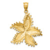 Lex & Lu 14k Yellow Gold 2D Starfish Charm LALK7957 - 4 - Lex & Lu