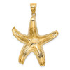 Lex & Lu 14k Yellow Gold Textured Large Starfish Charm - 4 - Lex & Lu