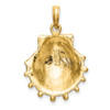 Lex & Lu 14k Yellow Gold Lions Paw Shell Charm - 4 - Lex & Lu