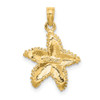 Lex & Lu 14k Yellow Gold Starfish w/Beaded Texture Charm LALK8071 - 4 - Lex & Lu