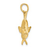 Lex & Lu 14k Yellow Gold 3D Polished SKIPJACK TUNA Fish Charm - 2 - Lex & Lu